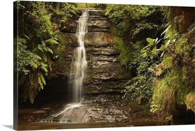 The Pool of Siloam is a tranquil spot in the Blue Mountains National Park, Australia