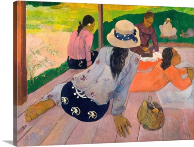 The Siesta