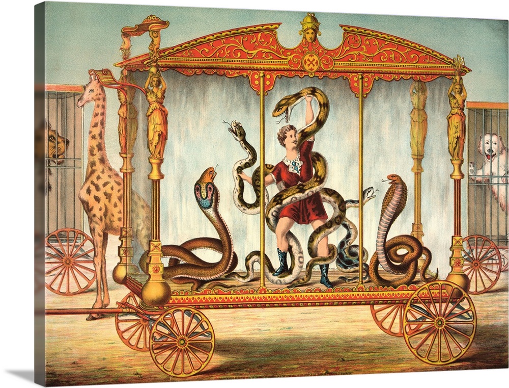 The Snake Wagon, with a snake performer at a circus. Color lithograph by Gibson