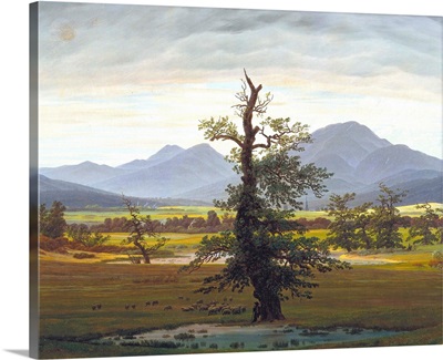 The Solitary Tree (Village Landscape In Morning Light)