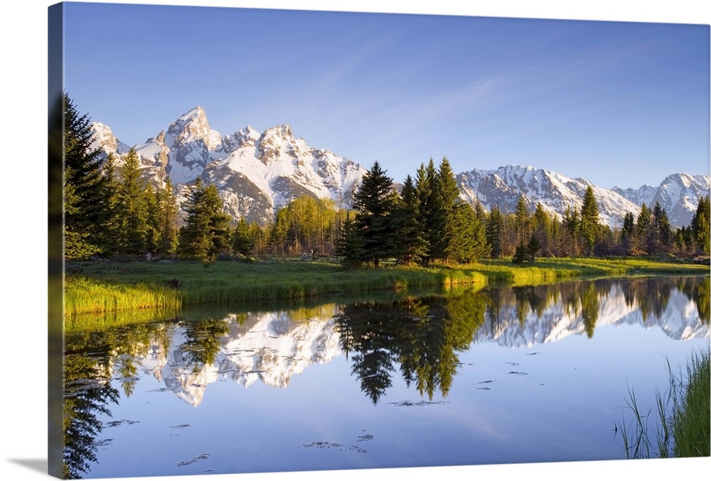 The Tetons reflect in Schwabacher's Landing in Grand Teton National Park, Wyoming.