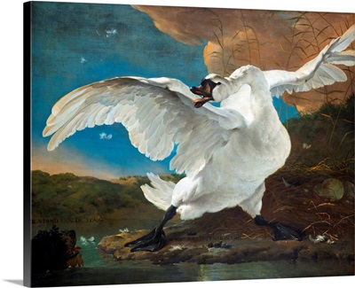 The Threatened Swan