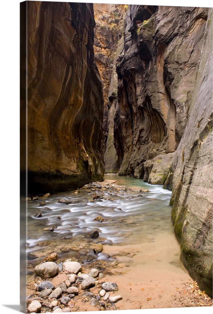 The Virgin River flowing through the Zion Canyon Narrows, Zion National Park, Utah. USA