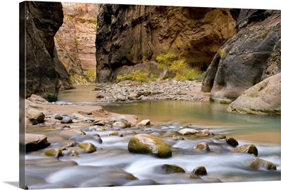 The Virgin River flowing through the Zion Canyon Narrows, Utah