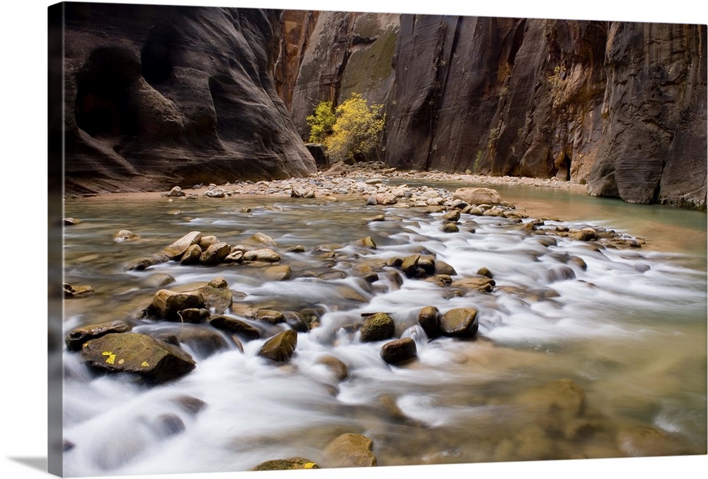 The Virgin River flowing through the Zion Canyon narrows, Zion National Park, Utah. USA