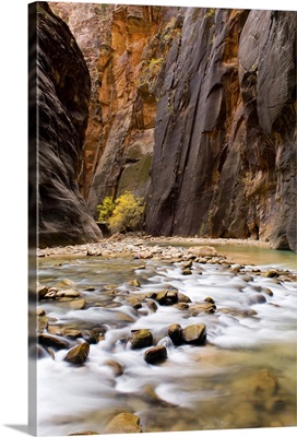 The Virgin River flowing through the Zion Canyon narrows, Zion National Park, Utah
