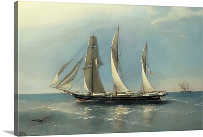 The Wanderer Refitted By Captain Richard Brydges Beechey