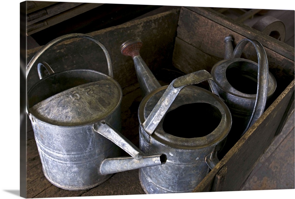 Three aluminum watering cans in a wheel barrow, Shaker Village, in Pittsfield, Massachussetts, USA