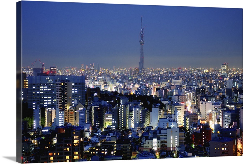 Tokyo skyline Wall Art, Canvas Prints, Framed Prints, Wall Peels