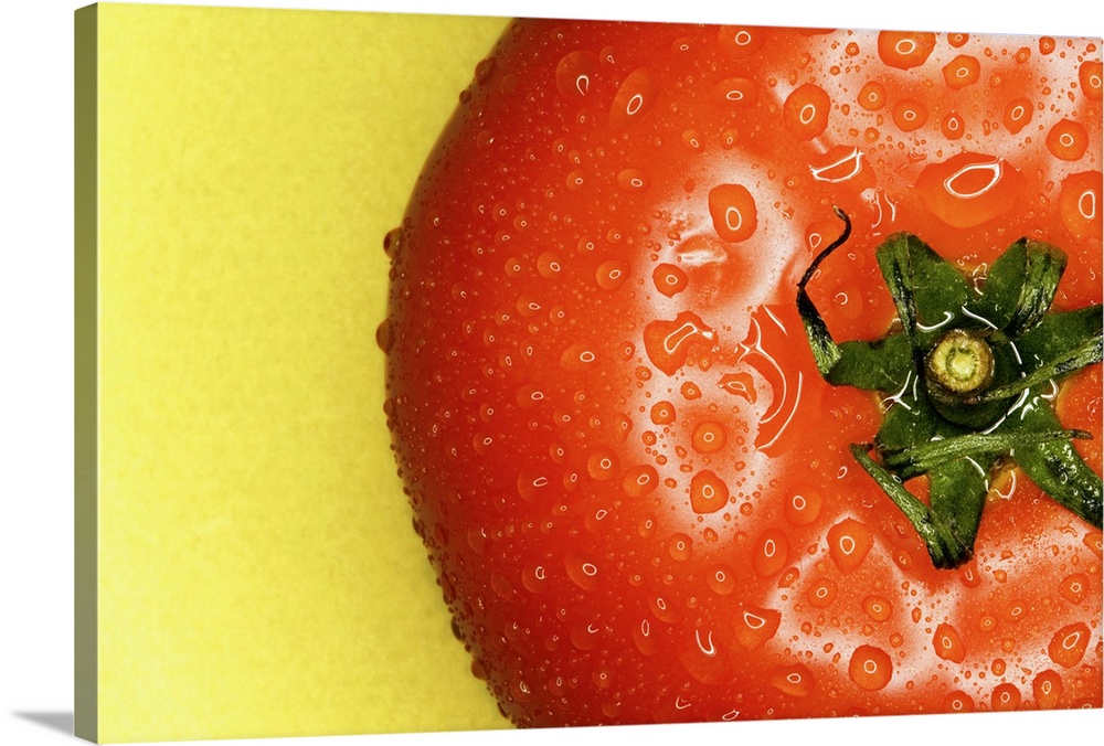 Large, landscape, close up photograph of the top of a tomato covered in small drops of water, on a golden background.
