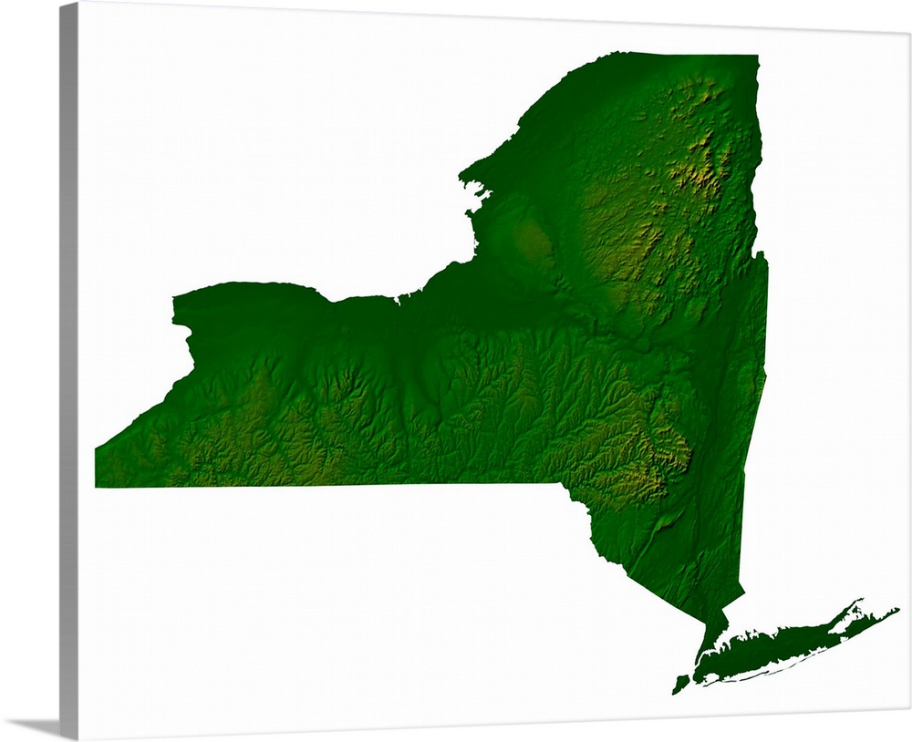 Topographic Map Of New York State Wall Art Canvas Prints Framed