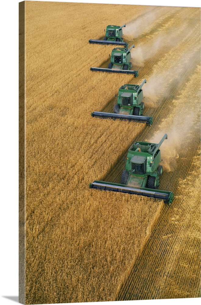 Tractors harvesting crop