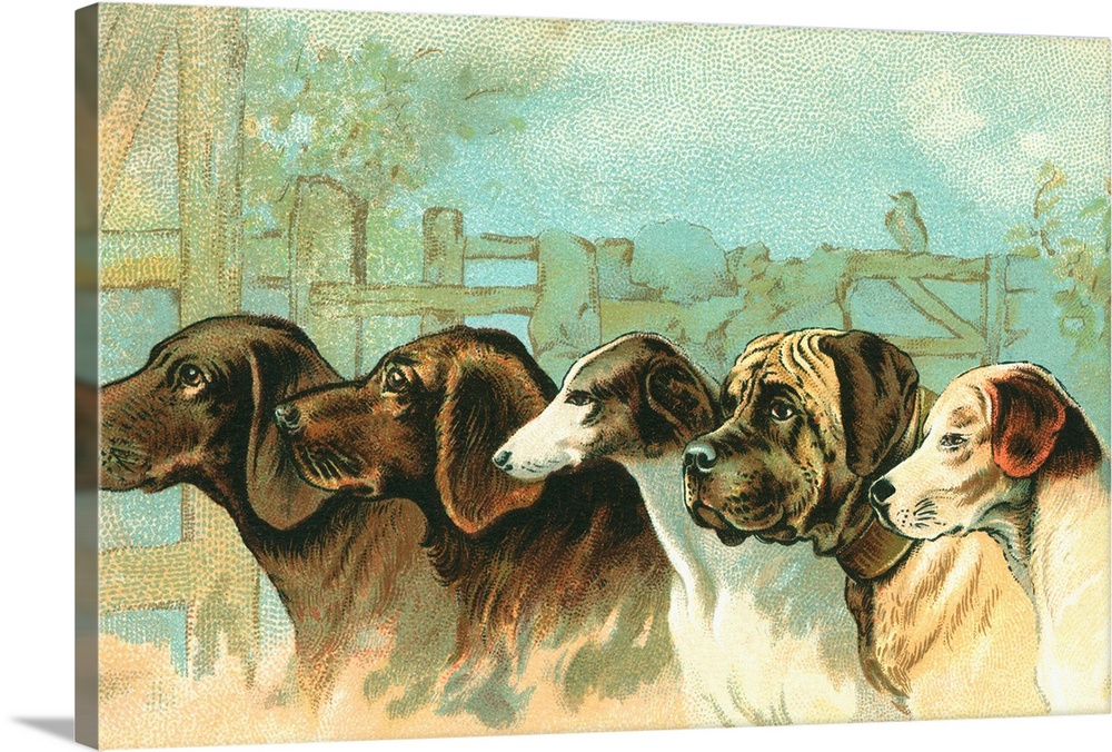 ca. 1890 --- Trade Card with the Profiles of Five Different Dog Breeds --- Image by .. Swim Ink 2, LLC/CORBIS