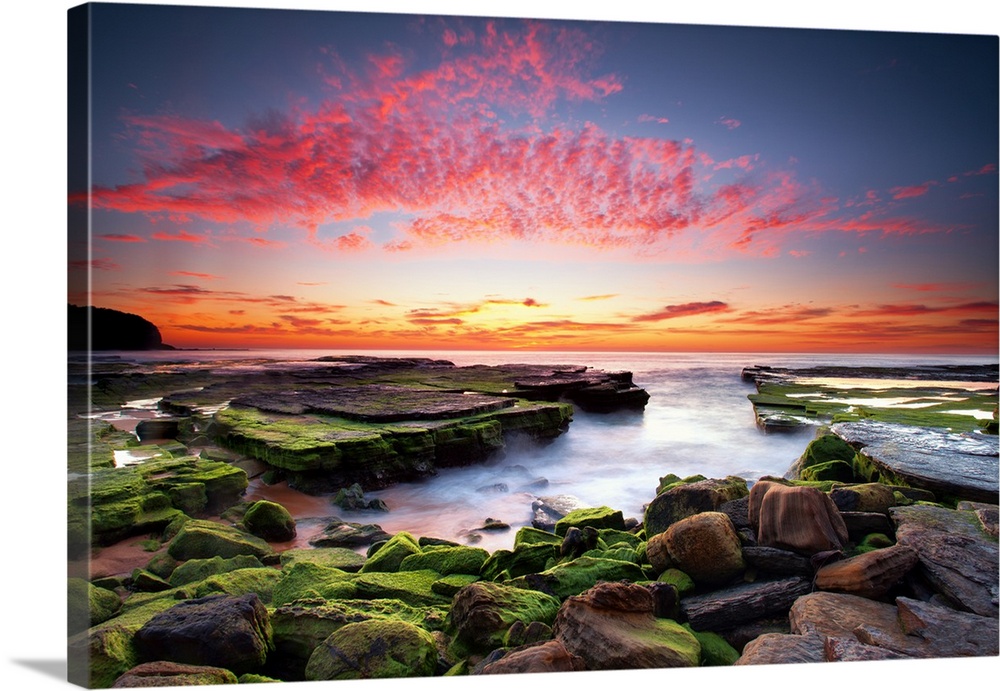 Tranquil Scene, Australia, New South Wales Wall Art, Canvas Prints