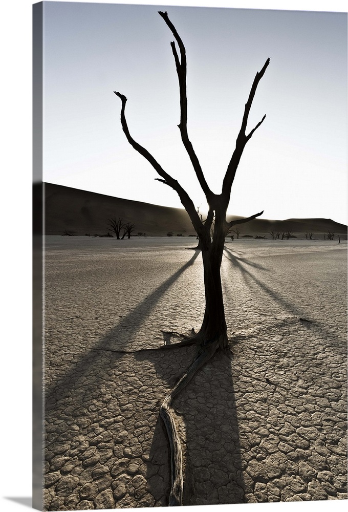 Namib Desert, Namibia, Dead Flei, Sossusvlei