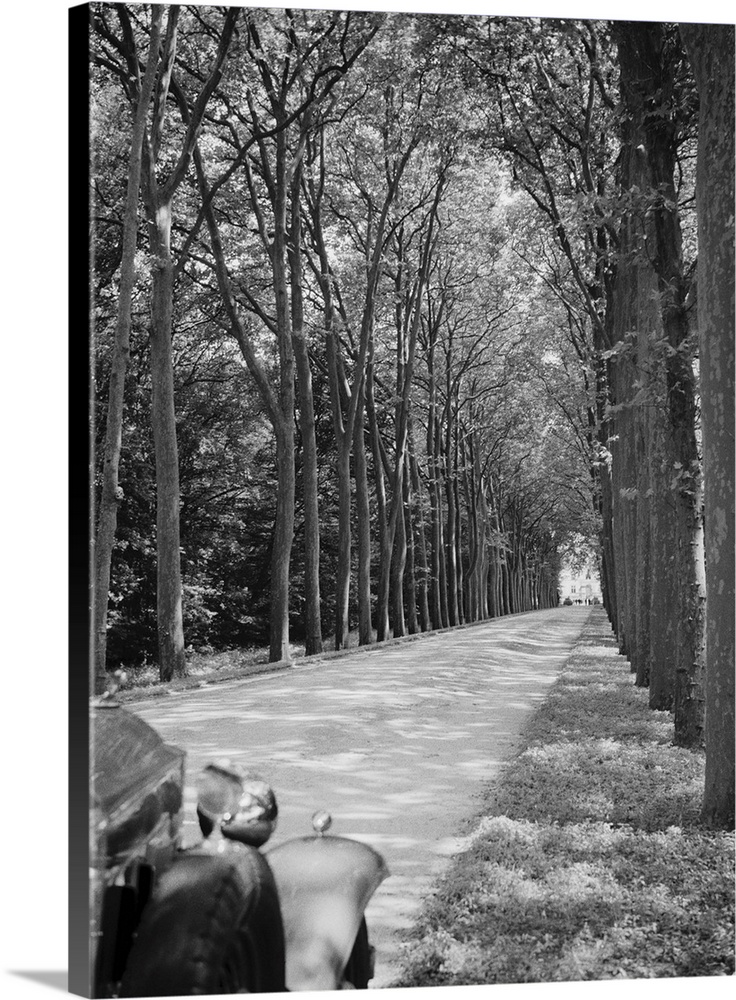 Tree-Lined Entrance Road to French Chateau Chenonceaux