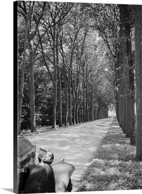 Tree-Lined Entrance Road to French Chateau Chenonceaux