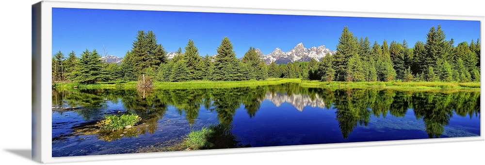Trees and peak reflection in Beaver pond, Grand Teton National Park