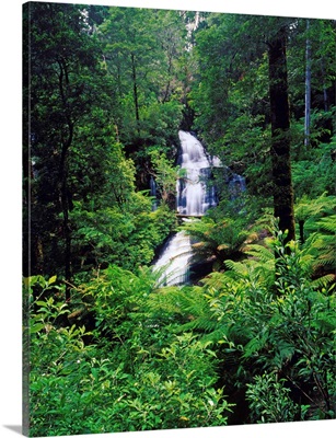 Triplet Falls near Beech Forest in the Otway Ranges