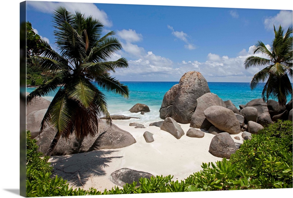 Seychelles, Mahe Island, Palm tree and remote tropical beach along Indian Ocean north of town of Victoria