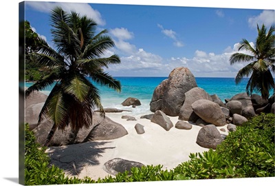 Tropical Beach, Seychelles