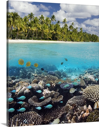 Tropical Lagoon in South Ari Atoll in the Maldives in the Indian Ocean ...