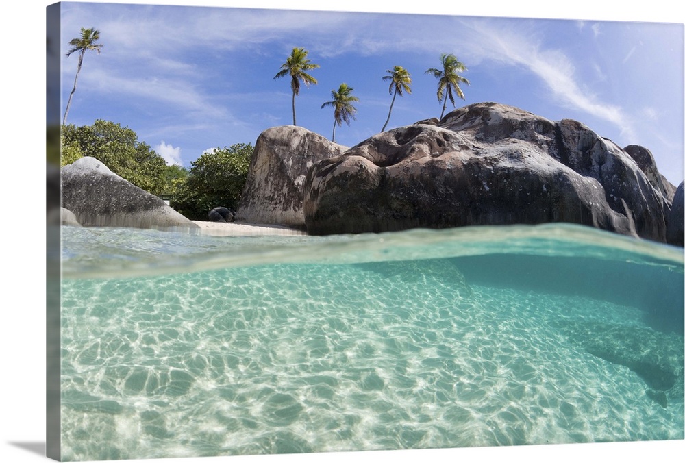 Tropical palm tree paradise. Virgin Gorda, Caribbean