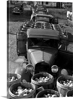 Truck loads of potatoes outside of a starch factory in Van Buren, Maine, 1940