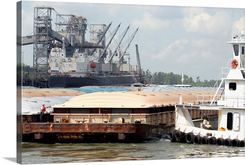 Tugs pushing grain barges to be loaded on ships.