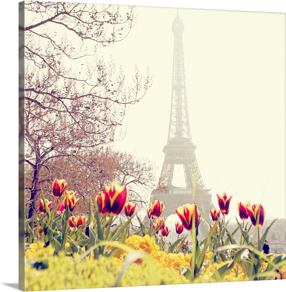 Low angle photograph of the Eiffel Tower in the background with tulip blossoms and trees in the foreground all covered by ...