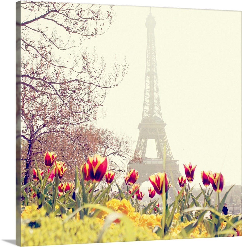 Tulips flowers with Eiffel Tower background, Paris, France Wall Art