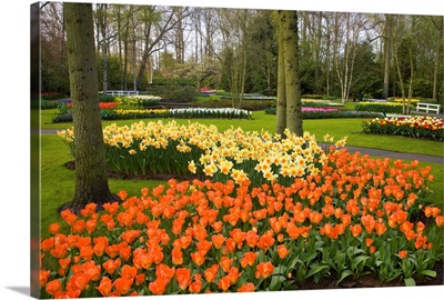Tulips In Keukenhof Gardens