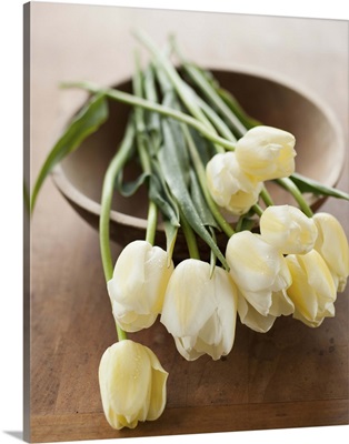 Tulips on bowl