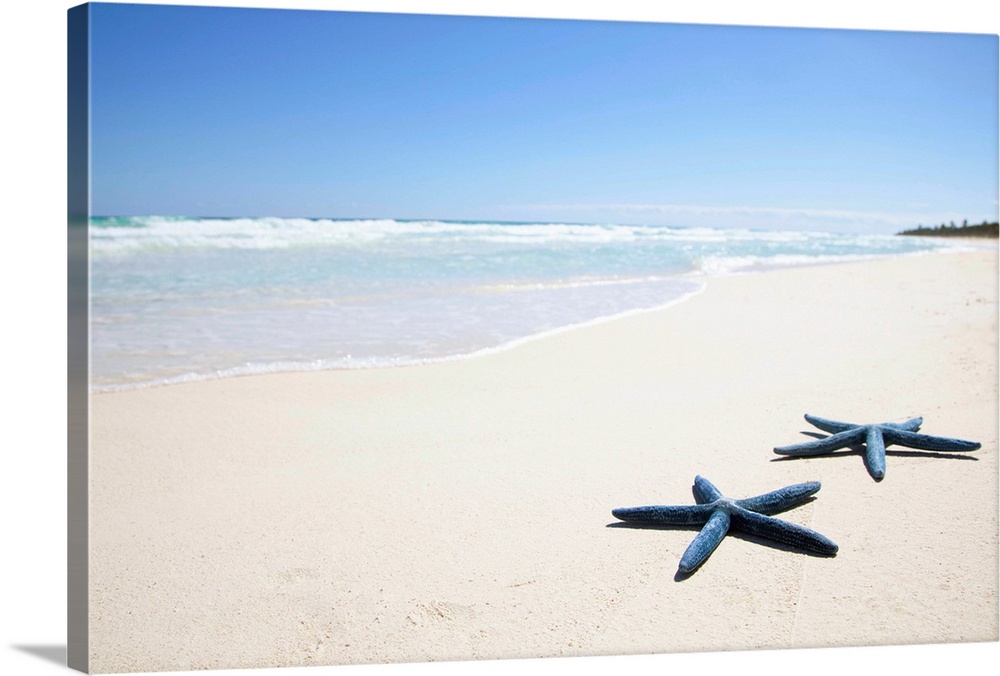 Wall Art Canvas Picture Print Starfish on Beach Sand Wave 3.2