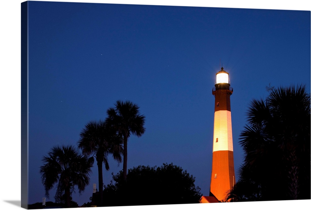 USA, Georgia, Tybee Island, Palmetto Palm trees and Tybee Lighthouse at dusk on summer evening