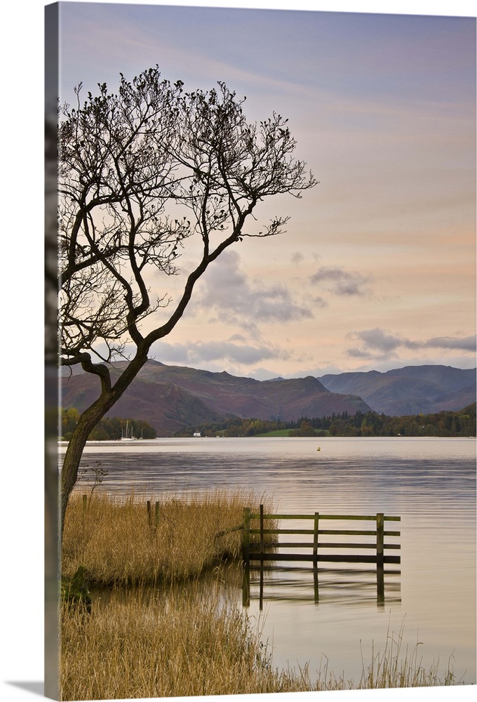 Ullswater with fence and bare tree.