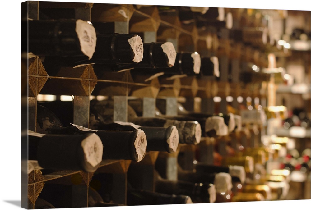 United Kingdom, Bristol, old wine bottles on cellar shelves