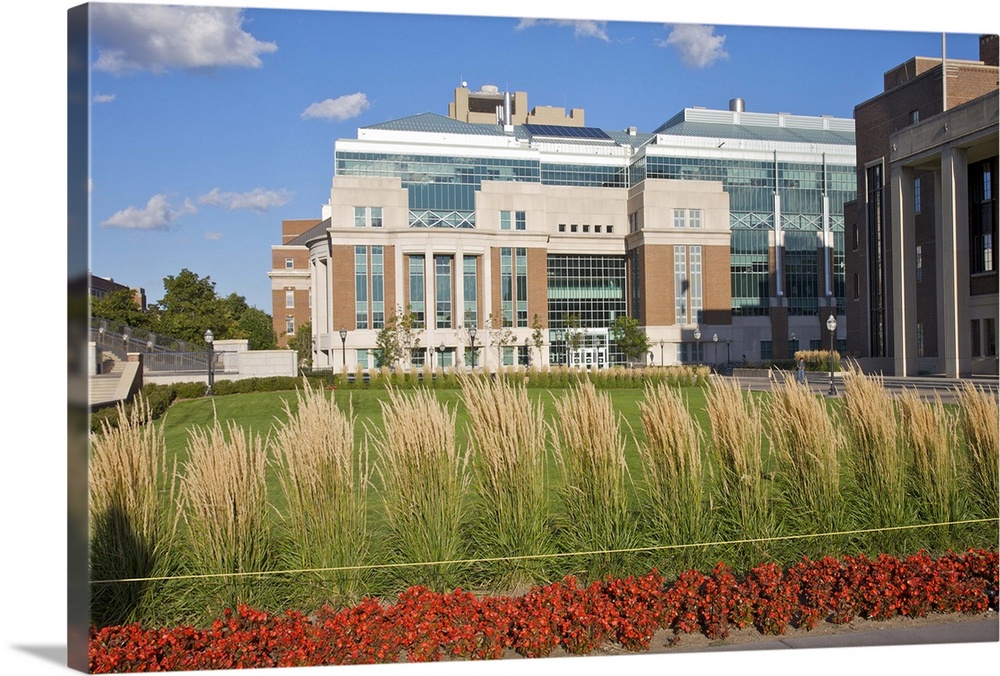 University of Minnesota, East Bank campus, Minneapolis, Minnesota, Midwest, USA