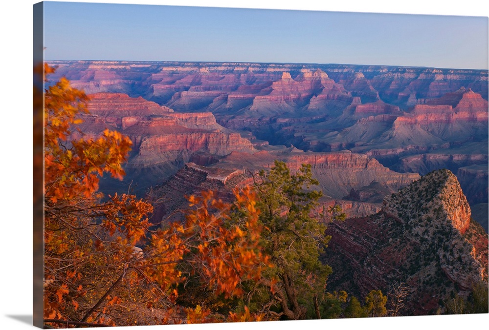 Giant, landscape photograph of fall colored tree tops overlooking large rock formations as the sun rises over the Grand Ca...