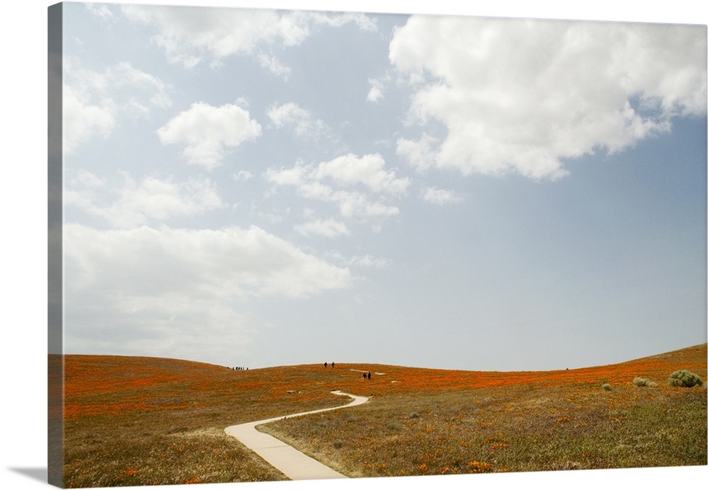 USA, California, Antelope Valley, walking trail in California Poppy Reserve