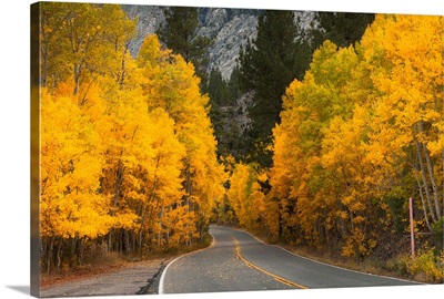 USA, California, Eastern Sierra, Autumn landscape