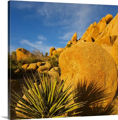 USA, California, Joshua Tree National Park, Rock formations