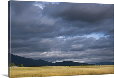 USA, California, Lassen County, Dramatic sky over pasture