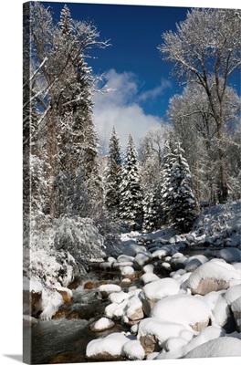 USA, Colorado, Winter landscape