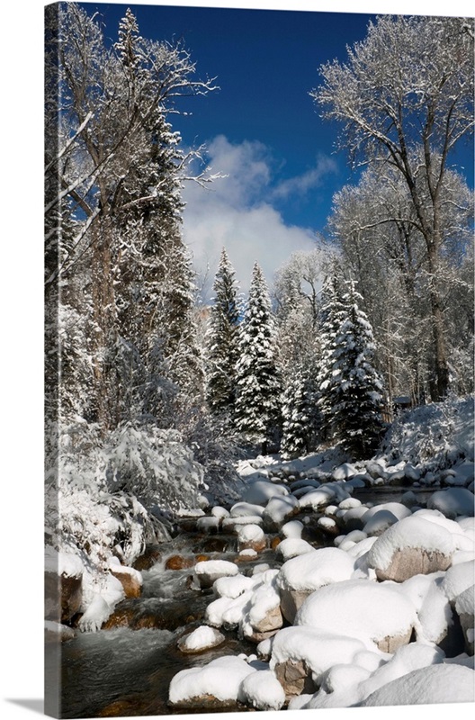 USA, Colorado, Winter landscape | Great Big Canvas