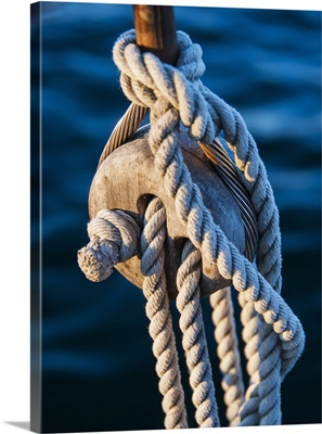 USA, Maine, Camden, Close-up view of yacht ropes against rippled water