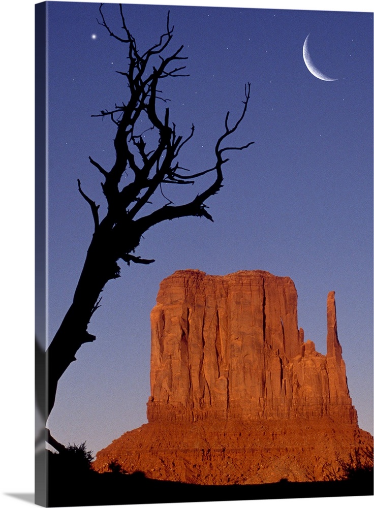USA, Monument Valley, single mitten and silhouette of branch
