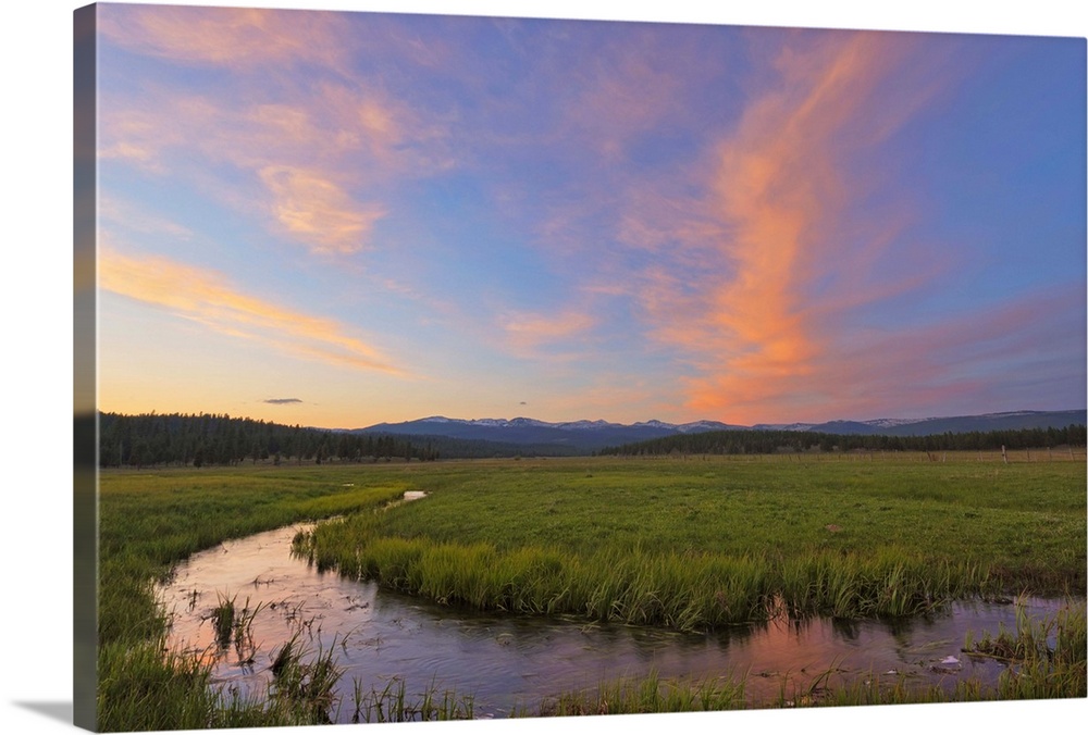 USA, Oregon, Deschutes County, Strawberry horse at sunset