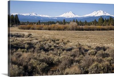USA, Oregon, Field with snow covered Cascade mountains in background