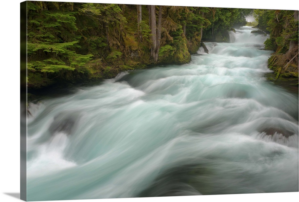 USA, Oregon, Linn County, McKenzie River